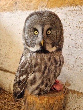 ��������� ������� ������ ���� � ��������� ������