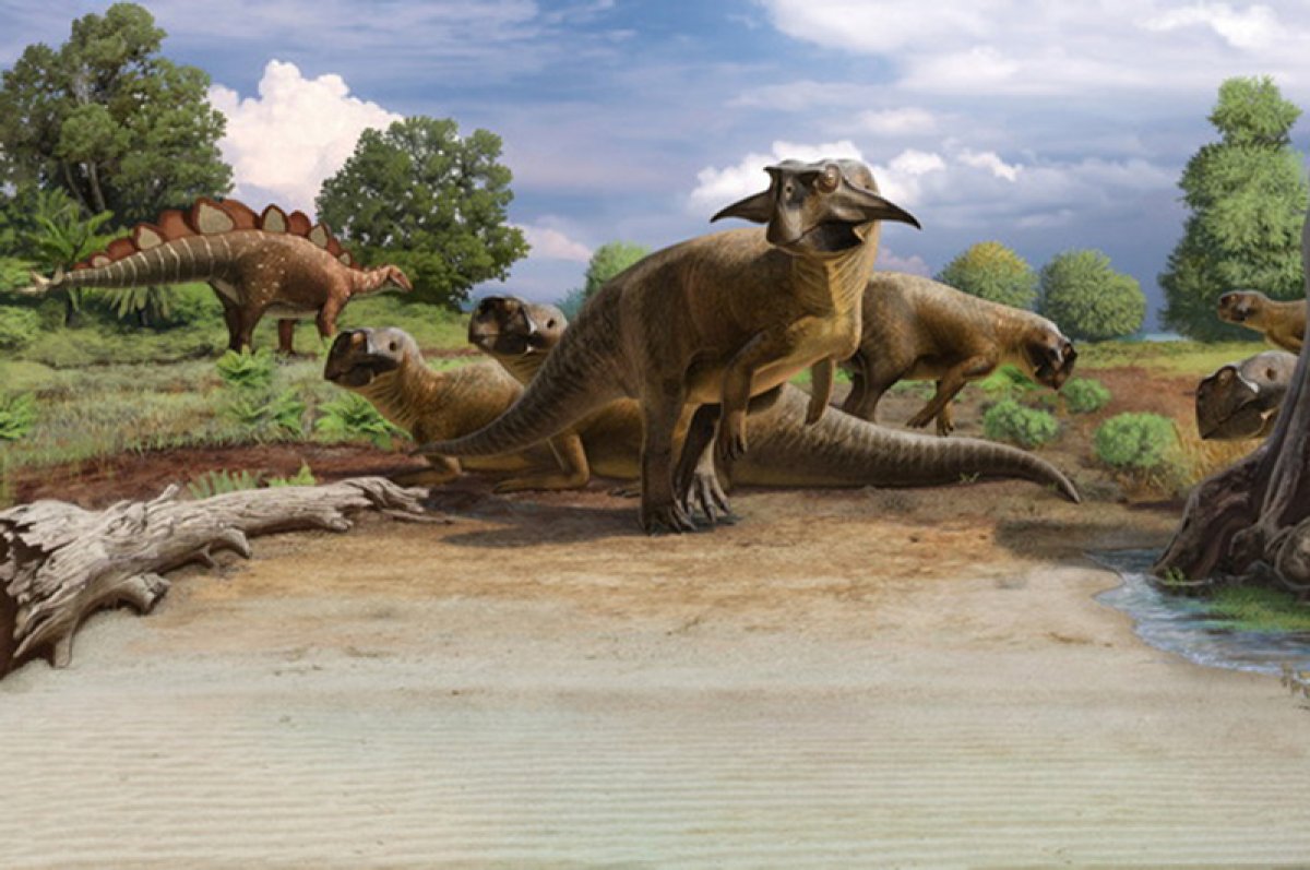 Дракон-ёжик, ящер-попугай и поедавший динозавров монстр — АиФ собрал статьи о древних существах Дракон-ёжик, ящер-попугай и поедавший динозавров монстр — АиФ собрал статьи о древних существах