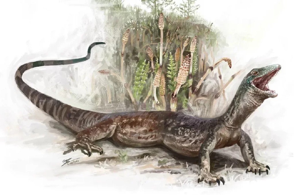 Дракон-ёжик, ящер-попугай и поедавший динозавров монстр — АиФ собрал статьи о древних существах Дракон-ёжик, ящер-попугай и поедавший динозавров монстр — АиФ собрал статьи о древних существах