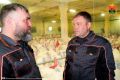 Илья Середюк: за полгода поголовье индейки в Кузбассе увеличилось в восемь раз