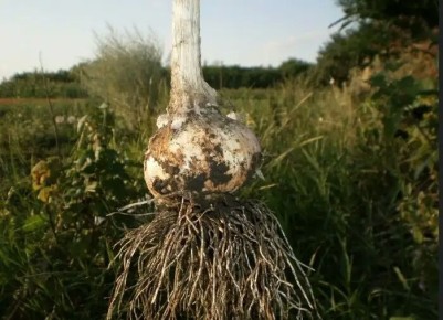 ��� ��������� ������� ������: �������, ������� ������� ��������� �������� �� ����