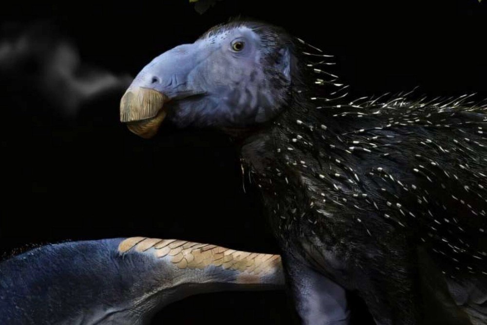 Дракон-ёжик, ящер-попугай и поедавший динозавров монстр — АиФ собрал статьи о древних существах Дракон-ёжик, ящер-попугай и поедавший динозавров монстр — АиФ собрал статьи о древних существах