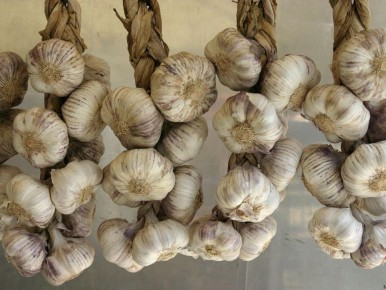 ����������� ������� ������� ������: ��� �������� ������