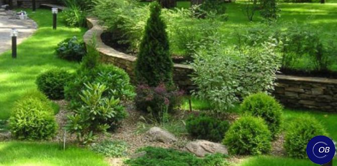 ��� ����������� �������� ������� � �������� ������� ���� ����������