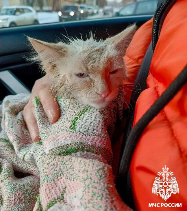 � �������� ���������� ��� ������ �� ������ ����, ������������ �� ����� � �����