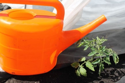 ����� � ��� ��������� ���������� ������ ����� �������