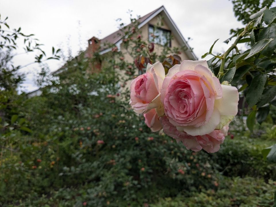 ��� �������� ������� ����� � ����: ������� ���������