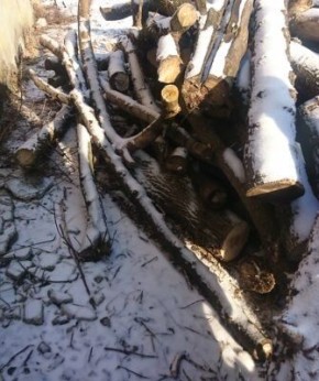 ��� ��������� ������� ����� ��� ��������������� �����