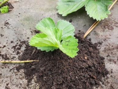 ������ �� ����������� ������� ��������� ����� ������������