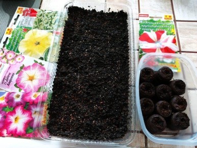 Как добиться идеальной всхожести петуний: пошаговая инструкция