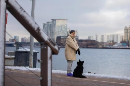 ����� �������� ������ ����� �� ������ � 2026 ����