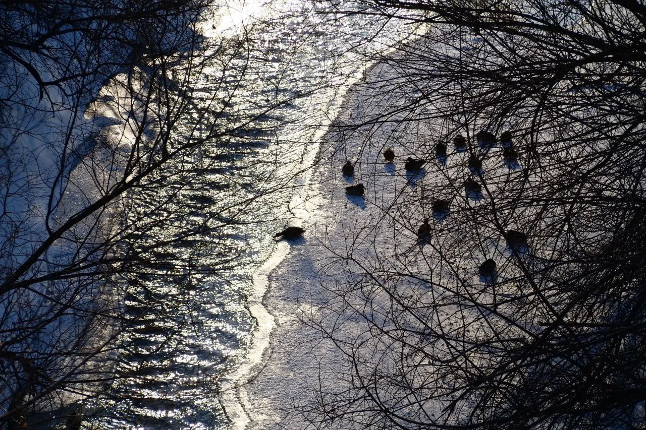 Кемеровские зарисовки: когда календарь перелистнули на март, но весна пока так и осталась только на бумаге Кемеровские зарисовки: когда календарь перелистнули на март, но весна пока так и осталась только на бумаге