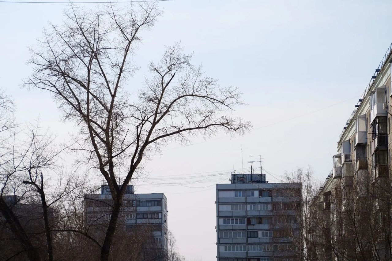 Кемеровские зарисовки: когда календарь перелистнули на март, но весна пока так и осталась только на бумаге Кемеровские зарисовки: когда календарь перелистнули на март, но весна пока так и осталась только на бумаге