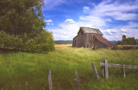 ����� ������ �����: ��� ������� ���� ��������� ������ � �� ������� �� ������� �������