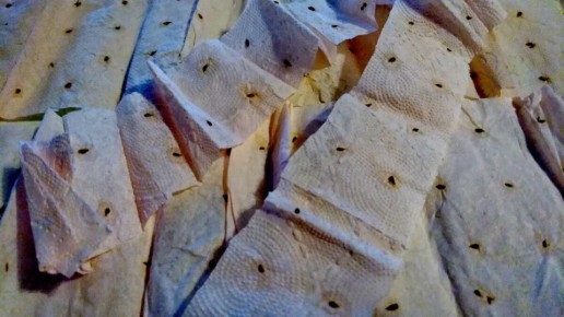 ����� ������������ �����: ��� ����� ��������� �����