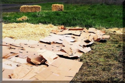 ��� ���������� ����� ����������� ��� ������ �������