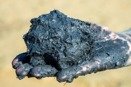 ��������� ��� ����������� ���������: ����� �� ������� ����� �� ����?