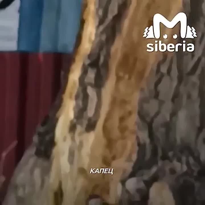 �������� � �� �������!. ������ ��� ����� � �������� ������ ���� � �� �� ������, �������� ��������