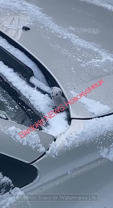 Вот такой «писец» на Транспортной!