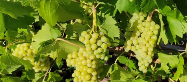 ������ ������ �������� ����� ���������, ��� ���������