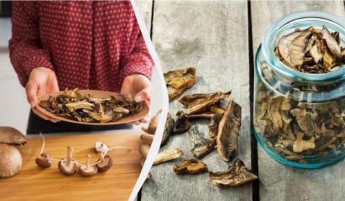 ��� ��������� ���������� ������� �����: ������ ��� �������� �������������