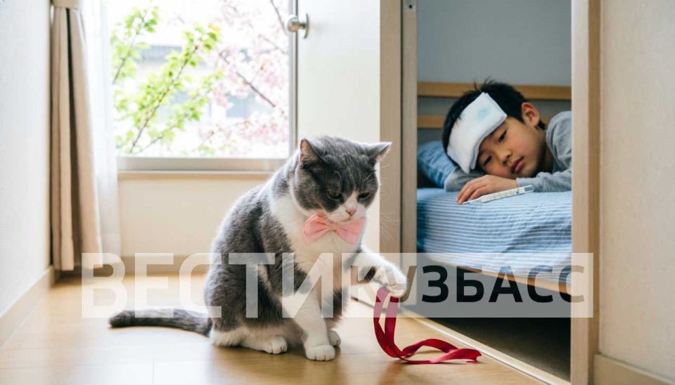 404 ребёнка в Кузбассе – на карантине