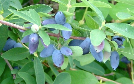 ��������� ������ ���������: ������� ����� ��� ������ � �����