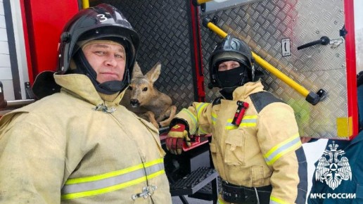 �������� ������ ������. �� ���� ������ ������� ����-������ ���������� � ������� �112� � �������� ������ ����� ������, ���������� � ������