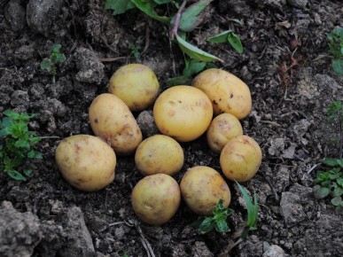 ��������� � ����������: �������� ����������� � ������������ �����