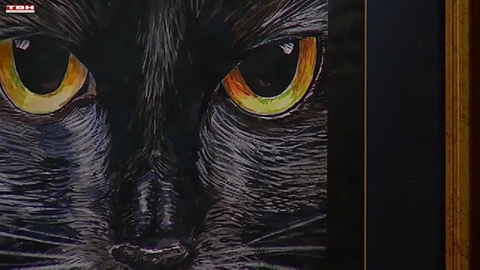 ����� ��������� ��������� �50� �� 13.03.26