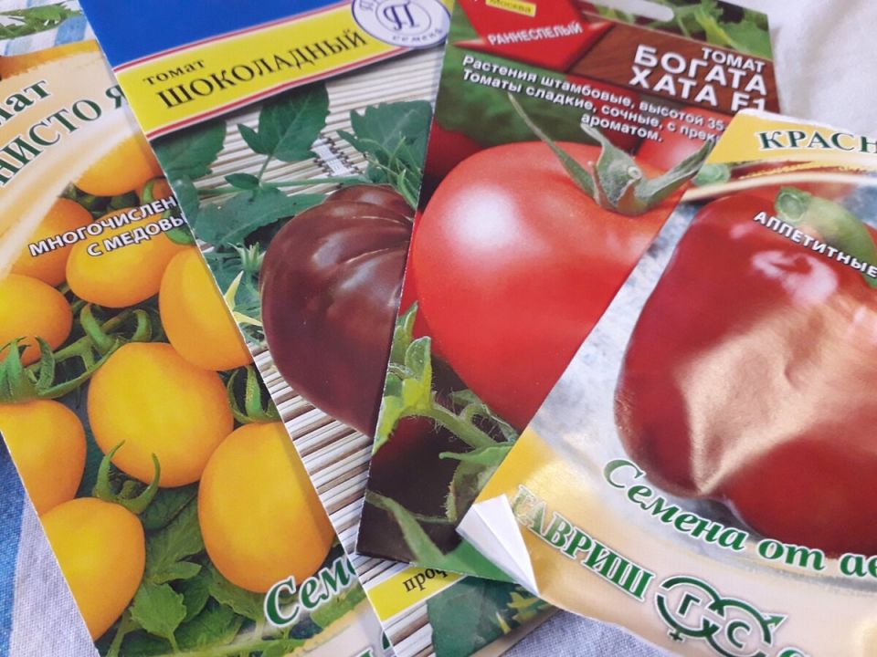 �������� ������ ��� ���������: �������� � ������