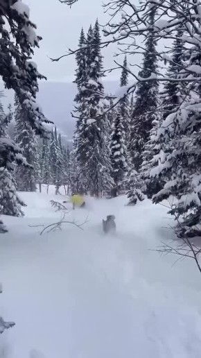 Доброе утро! Сегодня в Кузбассе облачно с прояснениями, небольшой снег, местами метели, на дорогах гололедица
