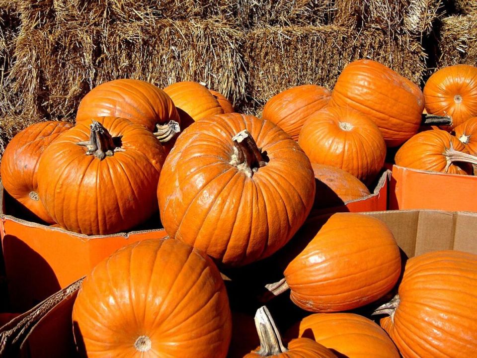 ��� ��������� ��������� ����� ��� ������ ������