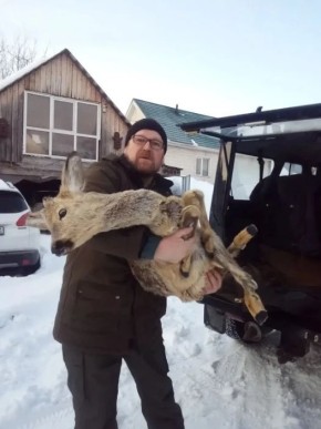 Инспектор спас косулю. Животное сбил неизвестный на автодороге Кузедеево – Таштагол и скрылся