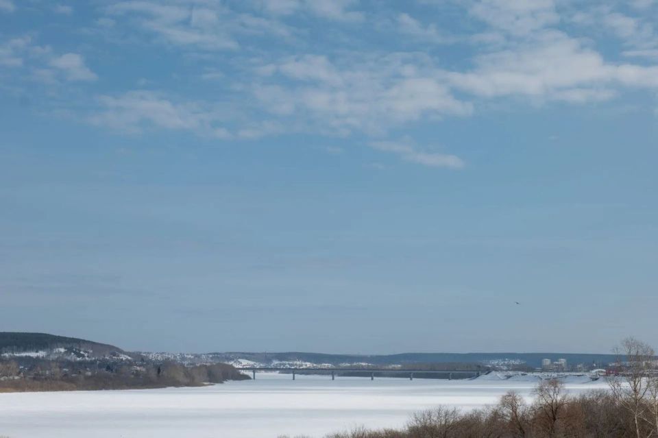 ������ "��������" | ������ - � ����������� MAX