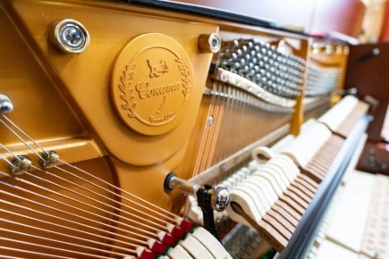 По нацпроекту «Семья» в ДШИ №15 поступили новые инструменты