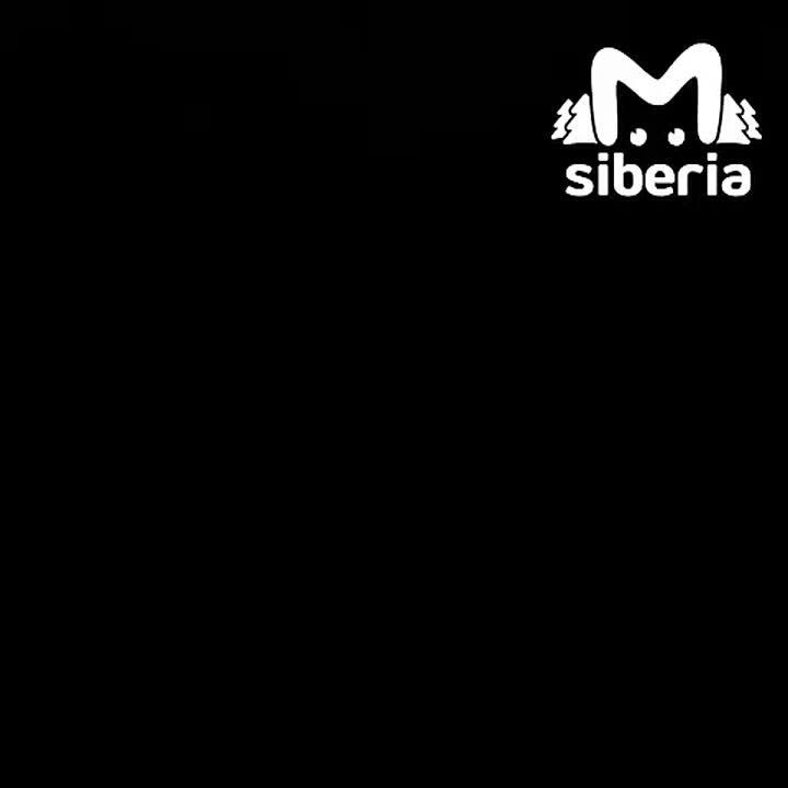 Кемеровчанин с выбитым зубом устроил скандал в отделении полиции — ответили ему по-уличному