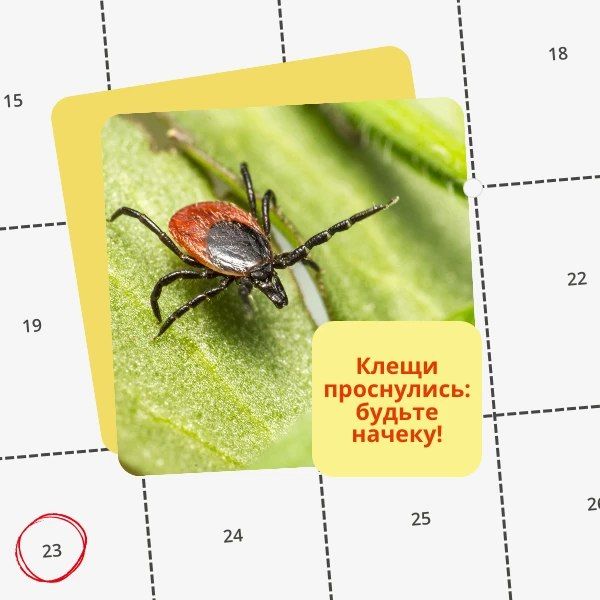 �� ������ ���������������� ���������� ������ ���������� � ������� ������ �����, � ��� ������, ��� ���� �������������