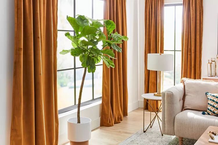 ����� ����� ������� ������: ������� ������ �� �������� ����������