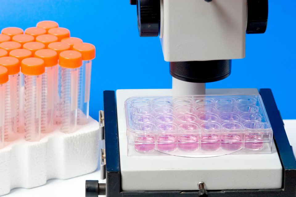 ��������� ������: ��� ������� ����� �� ������