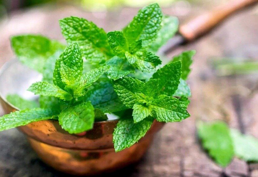 ����: ������������� �������� ��� ���������� ����