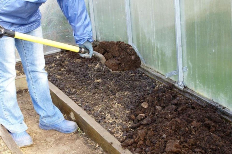 ��� ��������� ����������� ������� � ��������� ����������� ��������