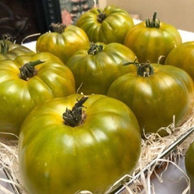 ����� ������� ���� �����: ��������� ������ �������