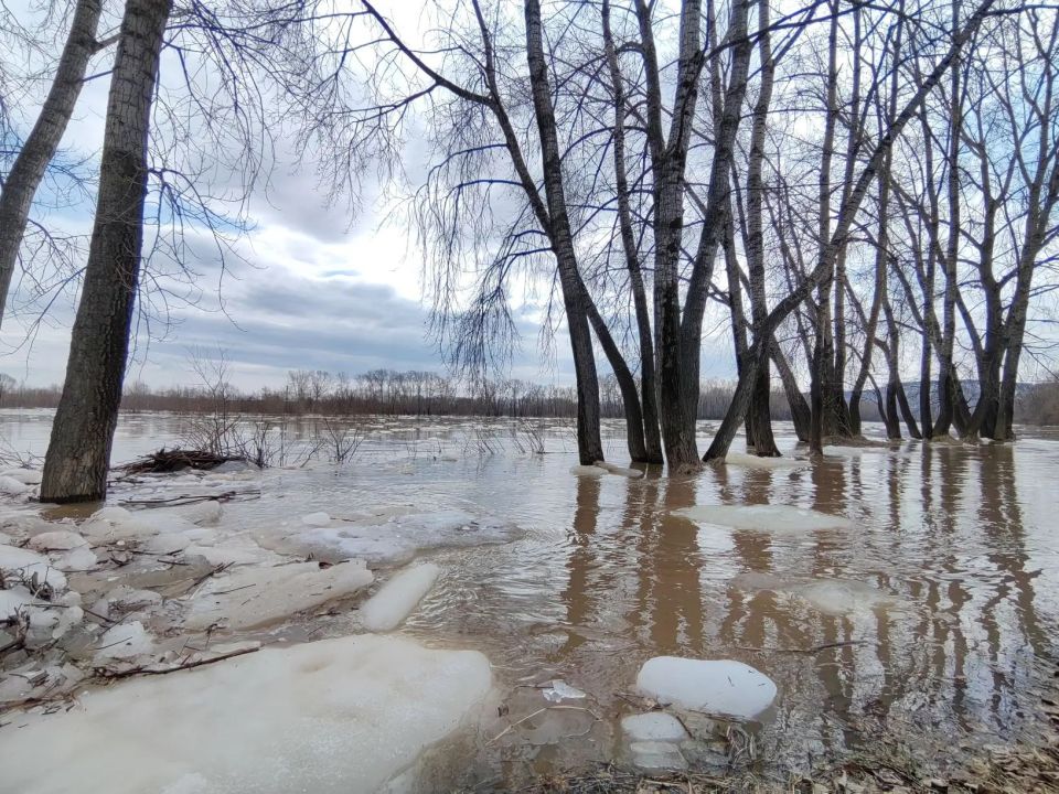 � ����� ����� � ����� ������� ���������� ����� �������� ���