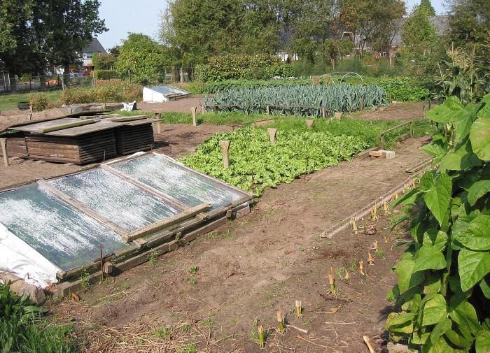 ��� ������� ��������� ����������� ������: ������� �� ��������������