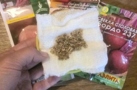 ��� ��������� ����������� ������ ������ � ������