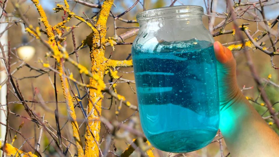 ��� ��������� �������� ���: ������� ��������� ��� �������� ��������