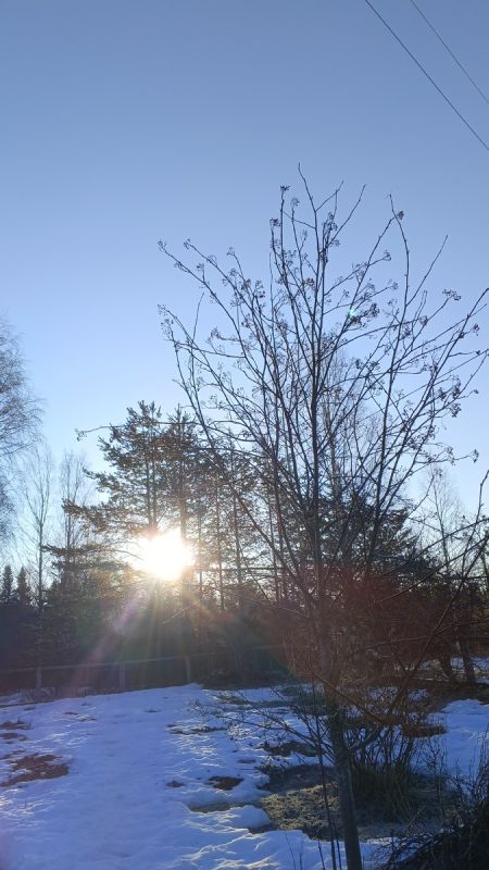 ������ ������ ����� � ������ ������: ��� � ������� ����� � ����� � ���� ������ ������