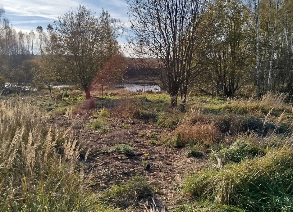 ��� �������� �������-����������� ����� ��� ��������� ��������� ���������