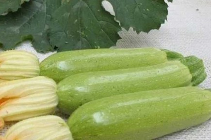 ����� � ������ ������� ����� ����� � ������� ��� �����������